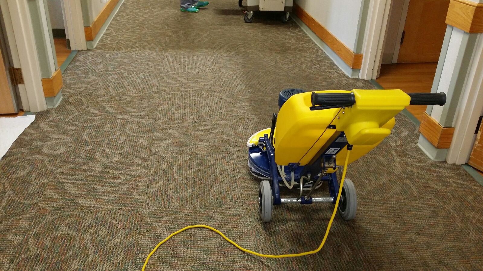 Carpet Cleaning Rug Cleaning Hinsdale Il Koshgarian Rug Cleaners Inc 630 686 1869