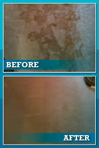 Carpet Cleaning