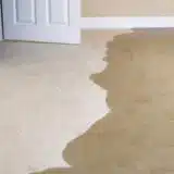 water damage on carpet